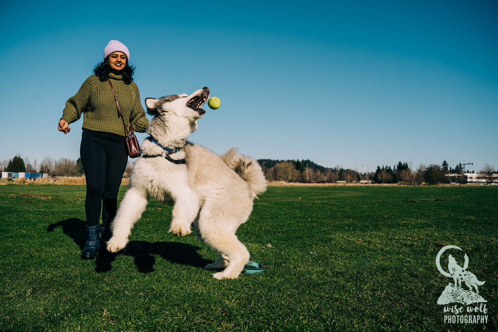 dog-image