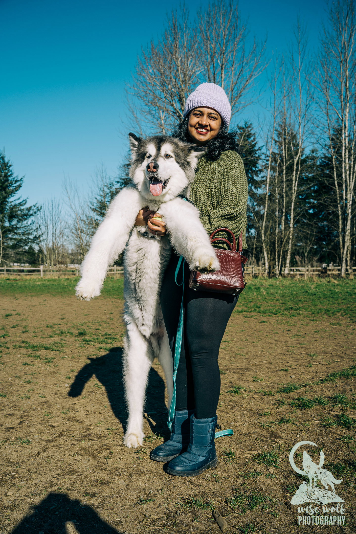 dog-image