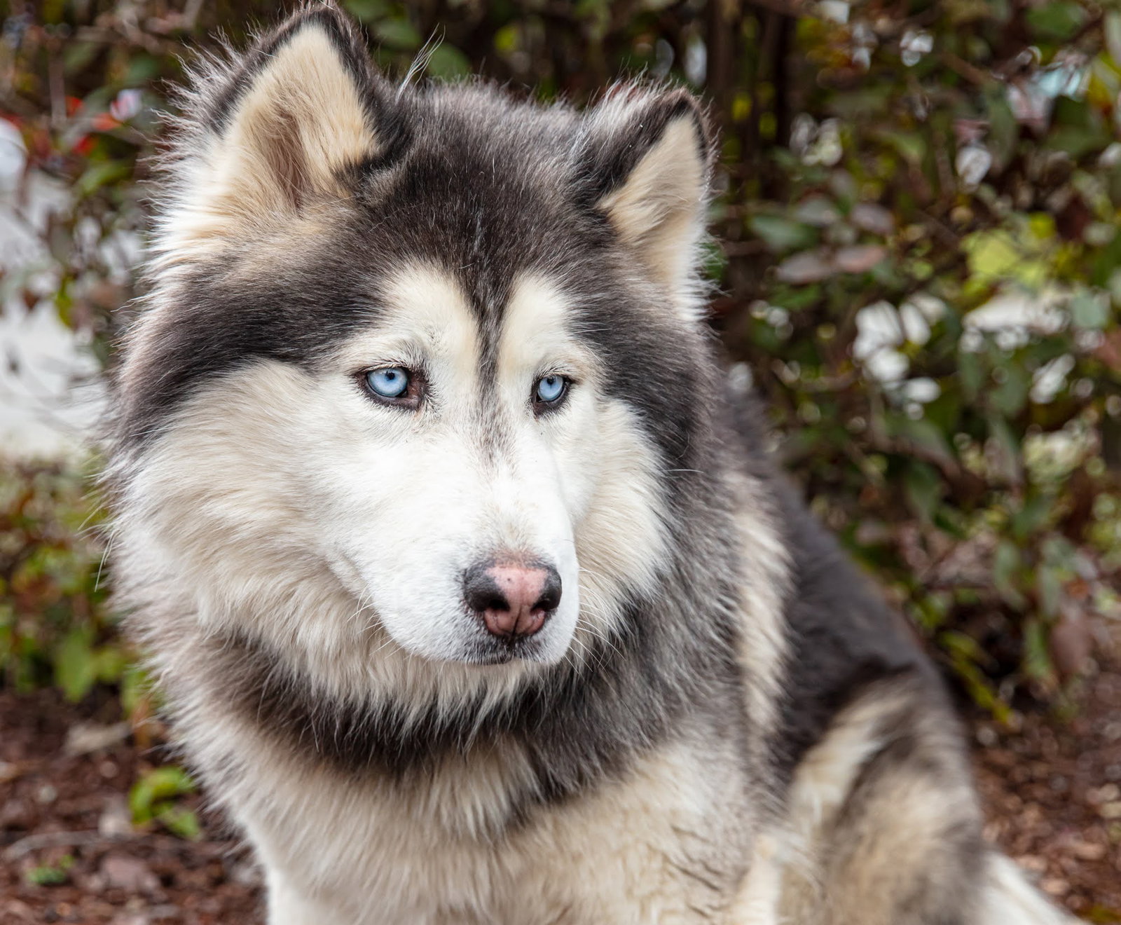VERMONT (renamed Winston)