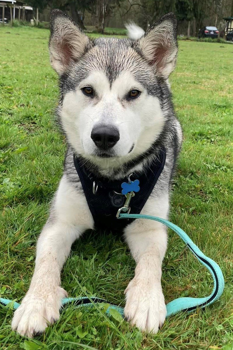 KISEWATISOWIN (renamed CeCe)