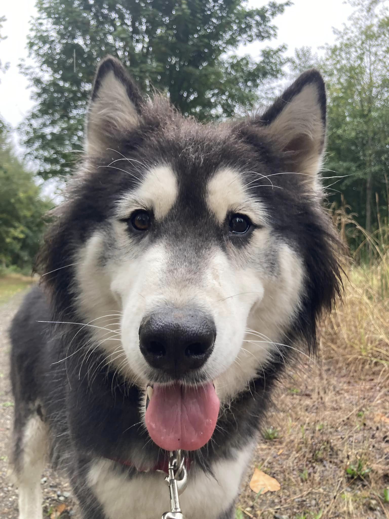 VALDEZ