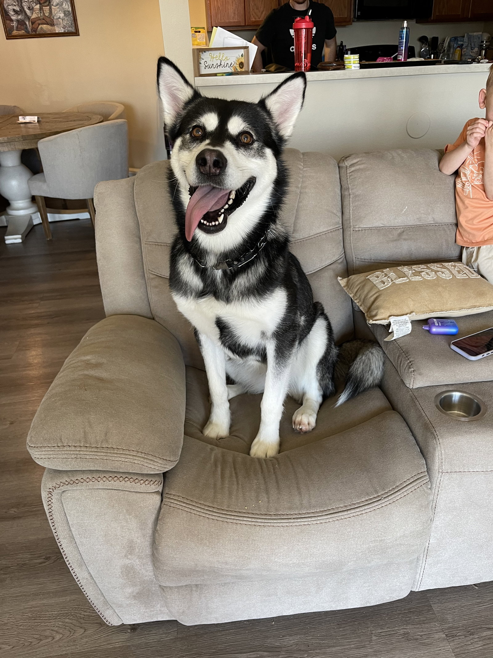 dog-image