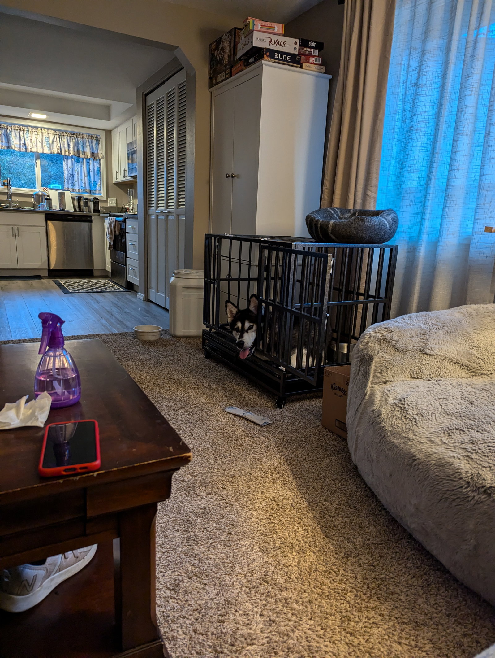 dog-image