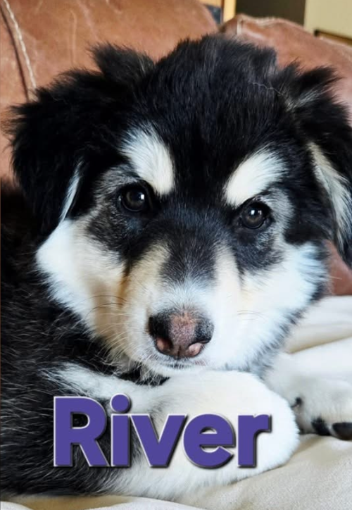 RIVER