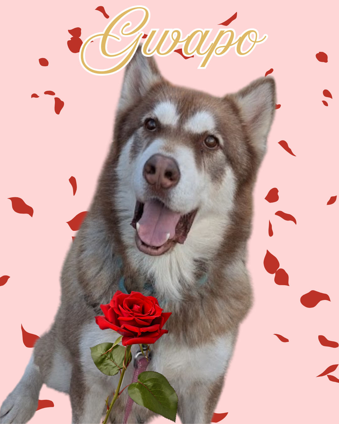 GWAPO