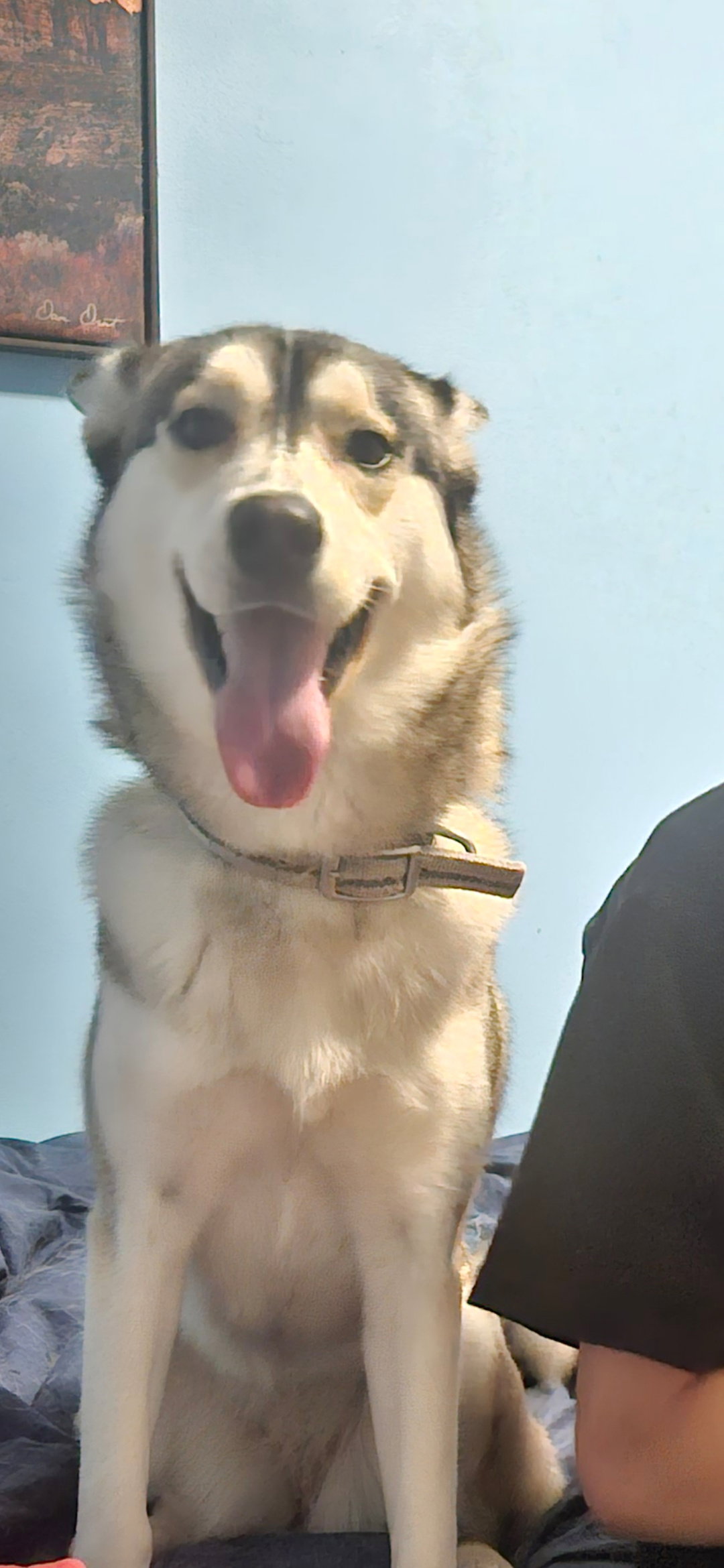 NALA (Courtesy Listing)