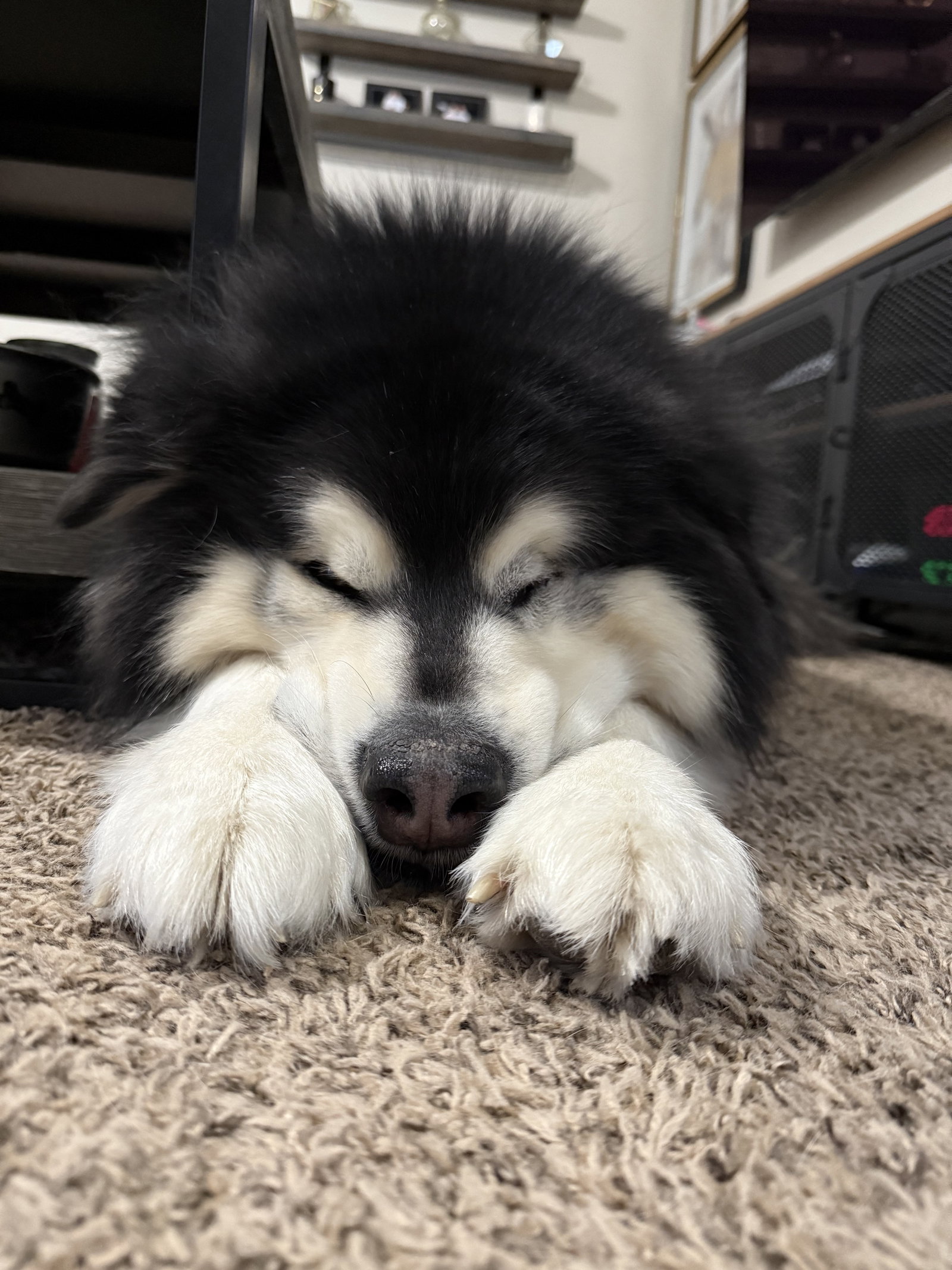 ODIN