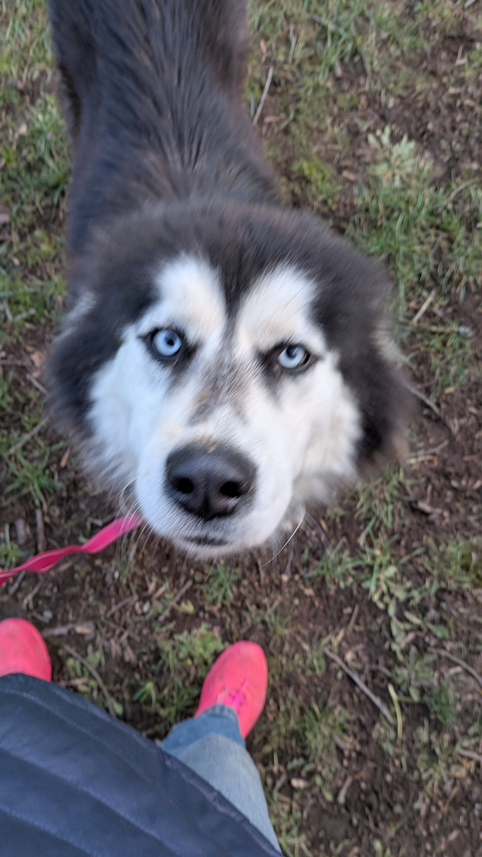 LUNA