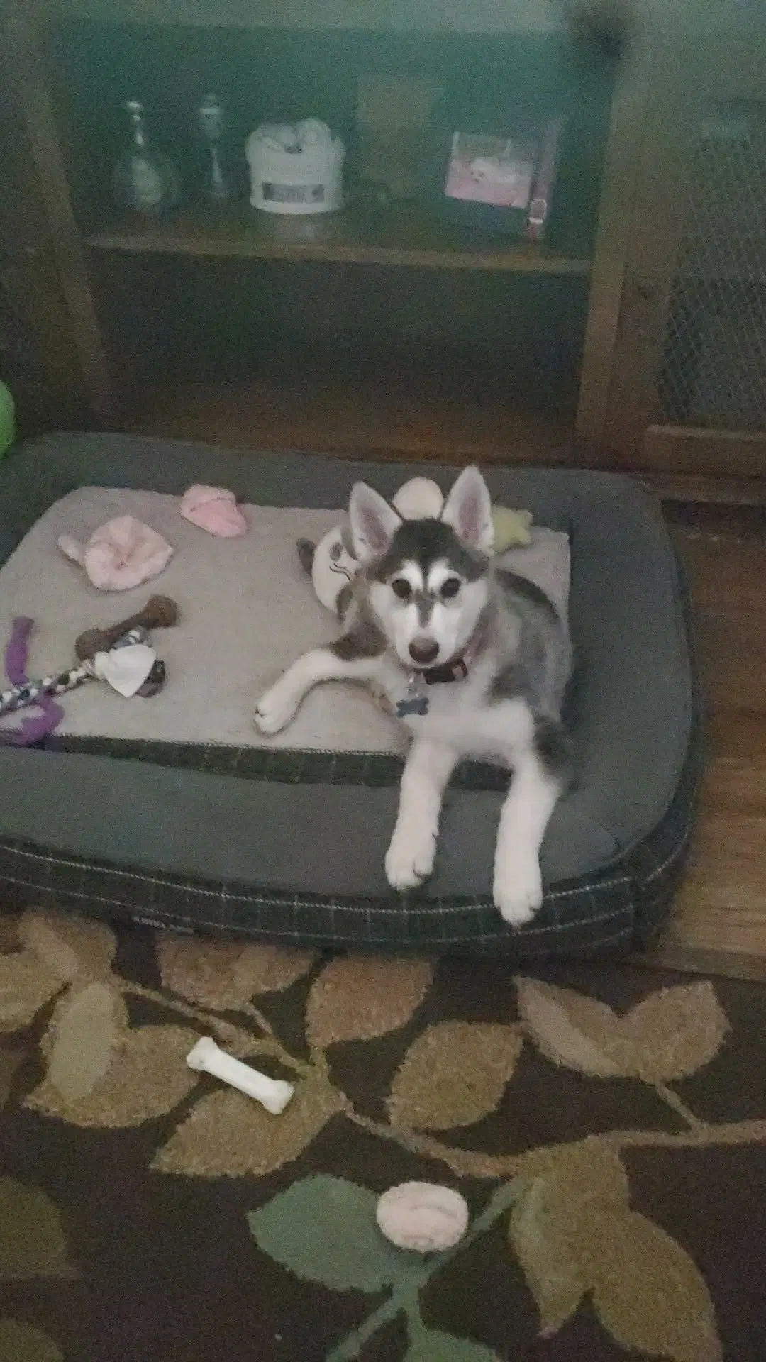 Lilo image 4