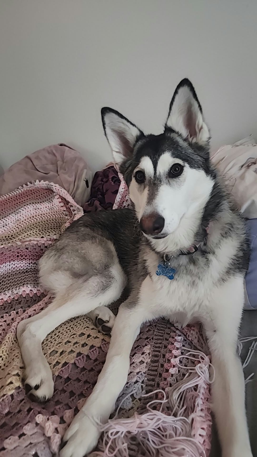 LILO