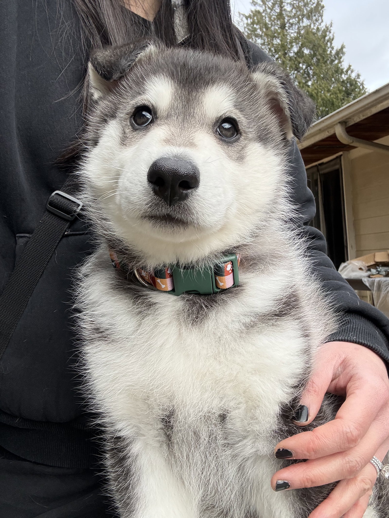 MEEKO