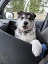 MEEKO