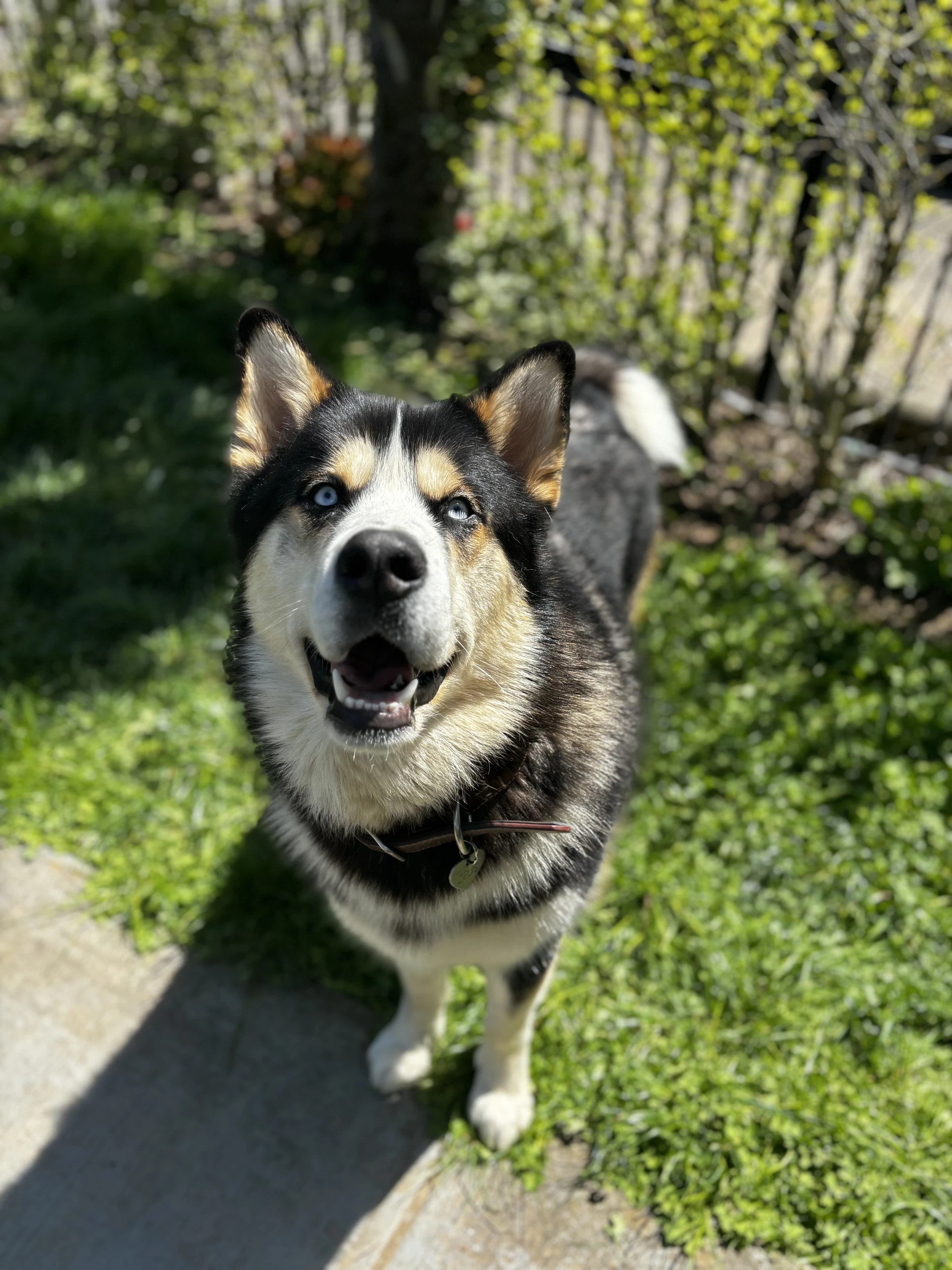 Zeus