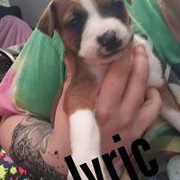 Lyric