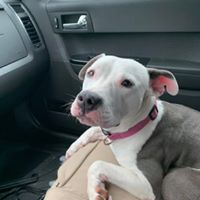 Daisy Mae