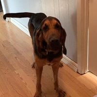 Ellie Mae