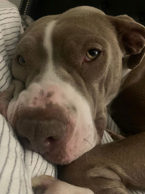Lucy