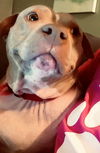 Edith