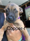 Copper