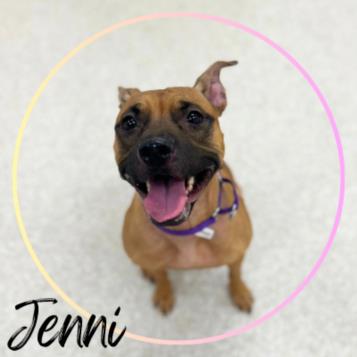 adoptable Dog in Saginaw, MI named JENNI