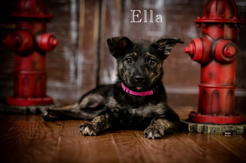 Ella