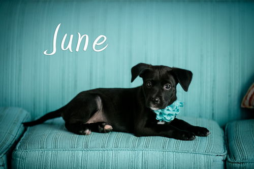 June