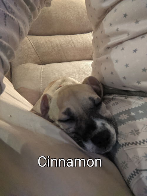 Cinnamon