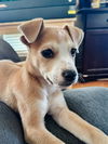 Charlie