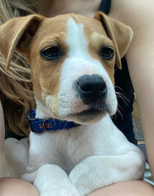 Jax