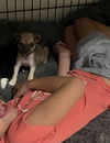 Colby