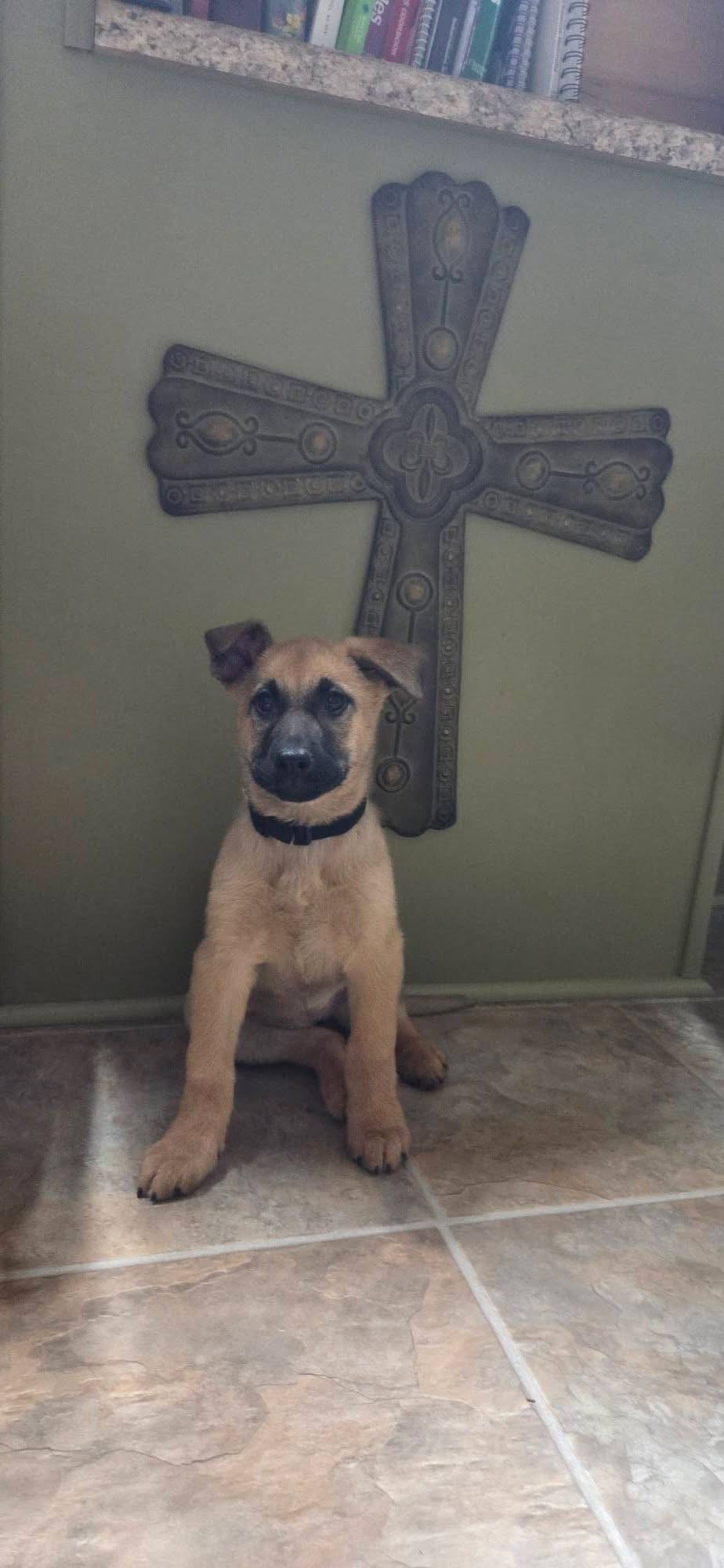 Roxie