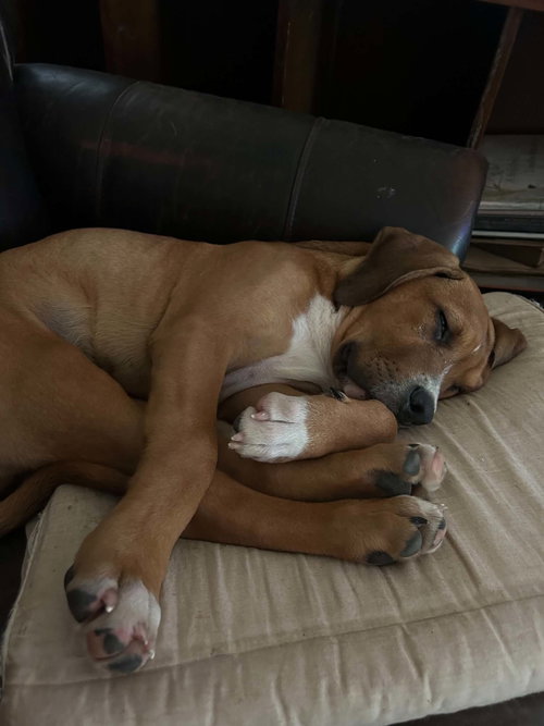 Charlie photo 3