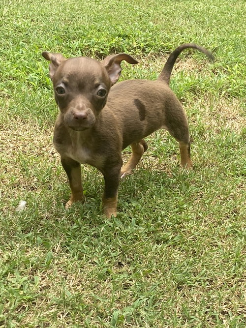 Titan photo 1