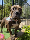 Franklin - Photo 1