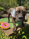 Franklin - Photo 6