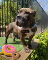 Franklin - Photo 4