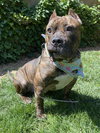 Franklin - Photo 2