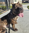 Franklin - Photo 5