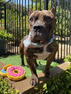Franklin - Photo 7