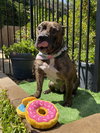 Franklin - Photo 9