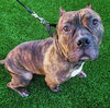 Franklin - Photo 10