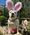 Tenley - Photo 3