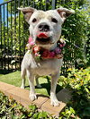 Tenley - Photo 5