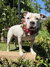 Tenley - Photo 6