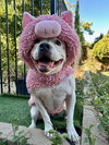 Tenley - Photo 8