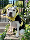 Tenley - Photo 9