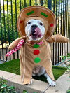 Tenley - Photo 10
