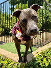 Jada - Photo 3