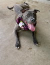Jada - Photo 9