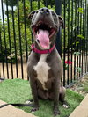 Jada - Photo 6